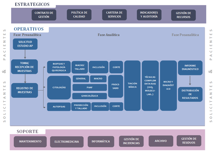 Mapa de procesos anatomia patologica